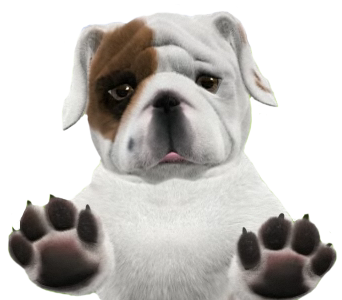 Bulldog Transparent PNG Image