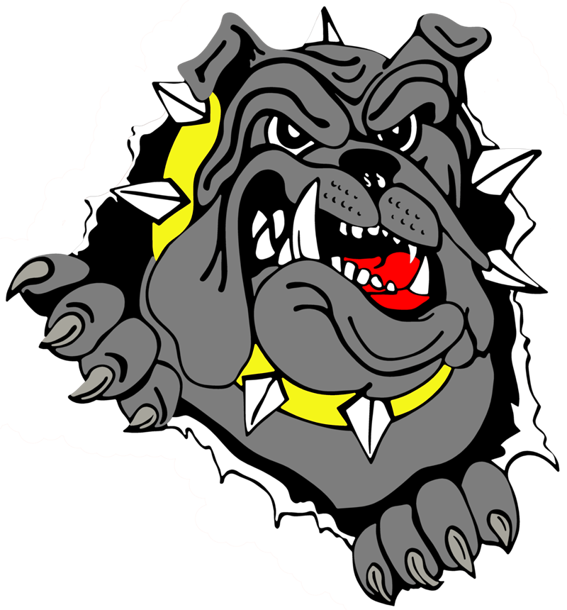 Bulldog Vector Transparent PNG Image