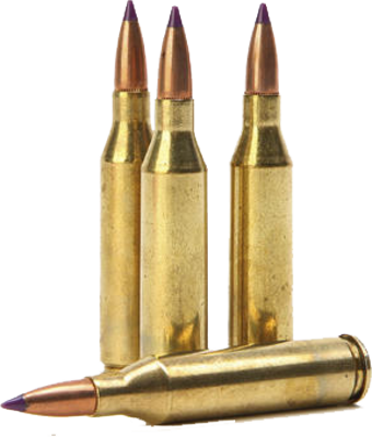 Rifle Bullets Transparent PNG Image