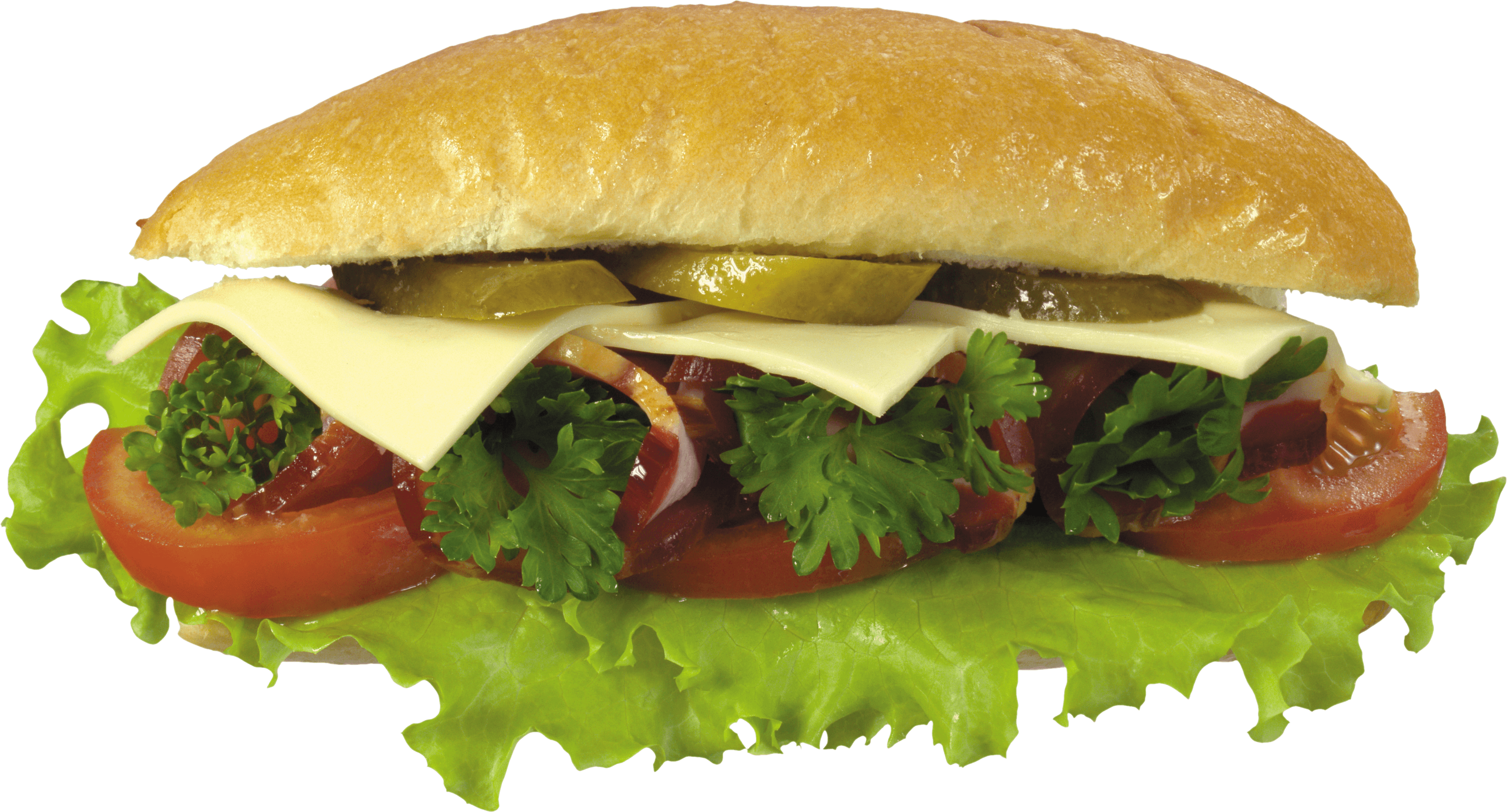 Hamburger Burger Transparent PNG Image