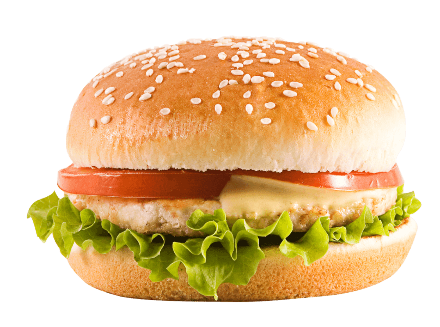 Hamburger Burger Transparent PNG Image