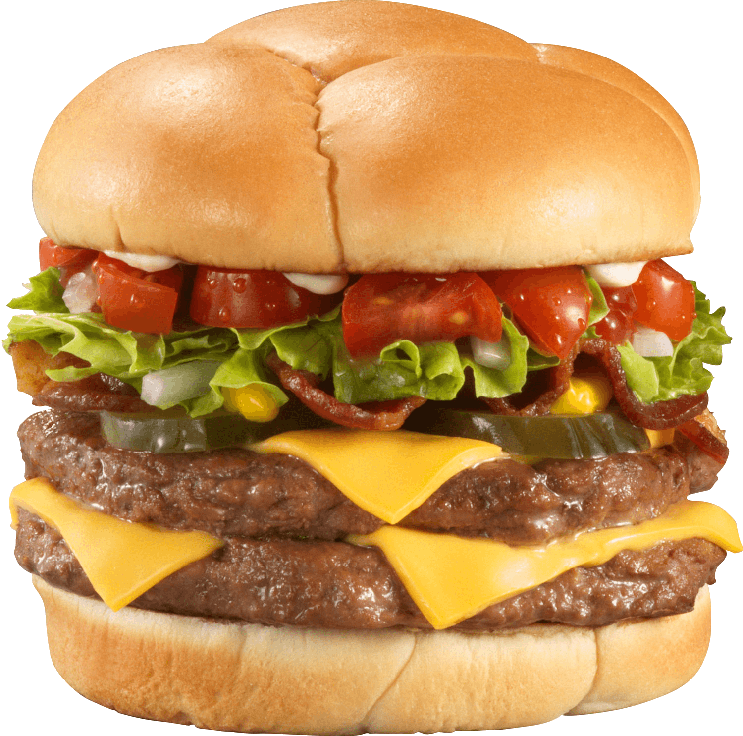 Hamburger Burger Transparent PNG Image