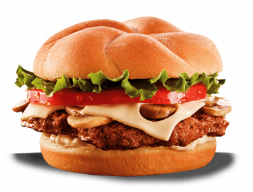 Hamburger Burger Transparent PNG Image