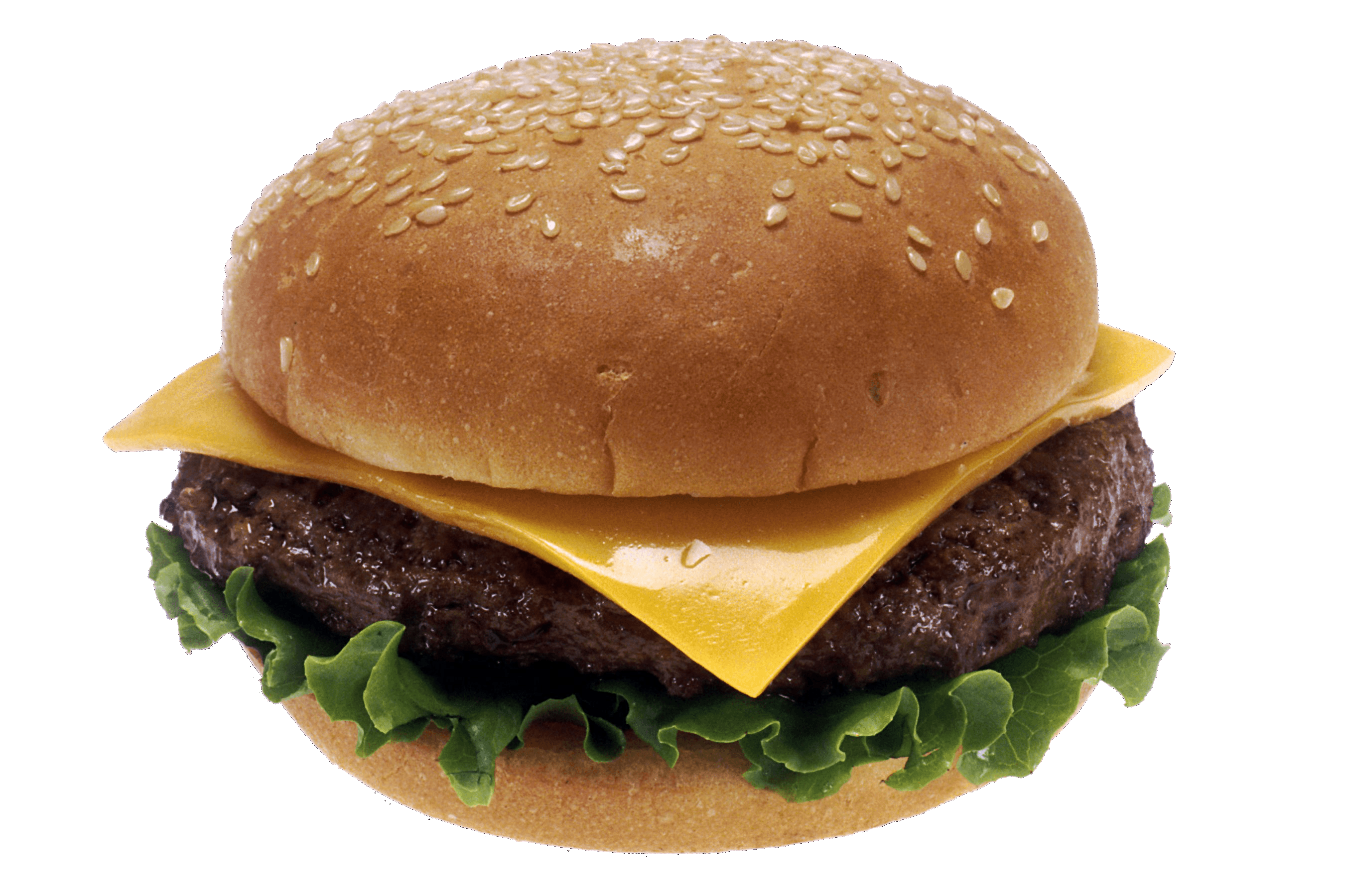Hamburger Burger Transparent PNG Image