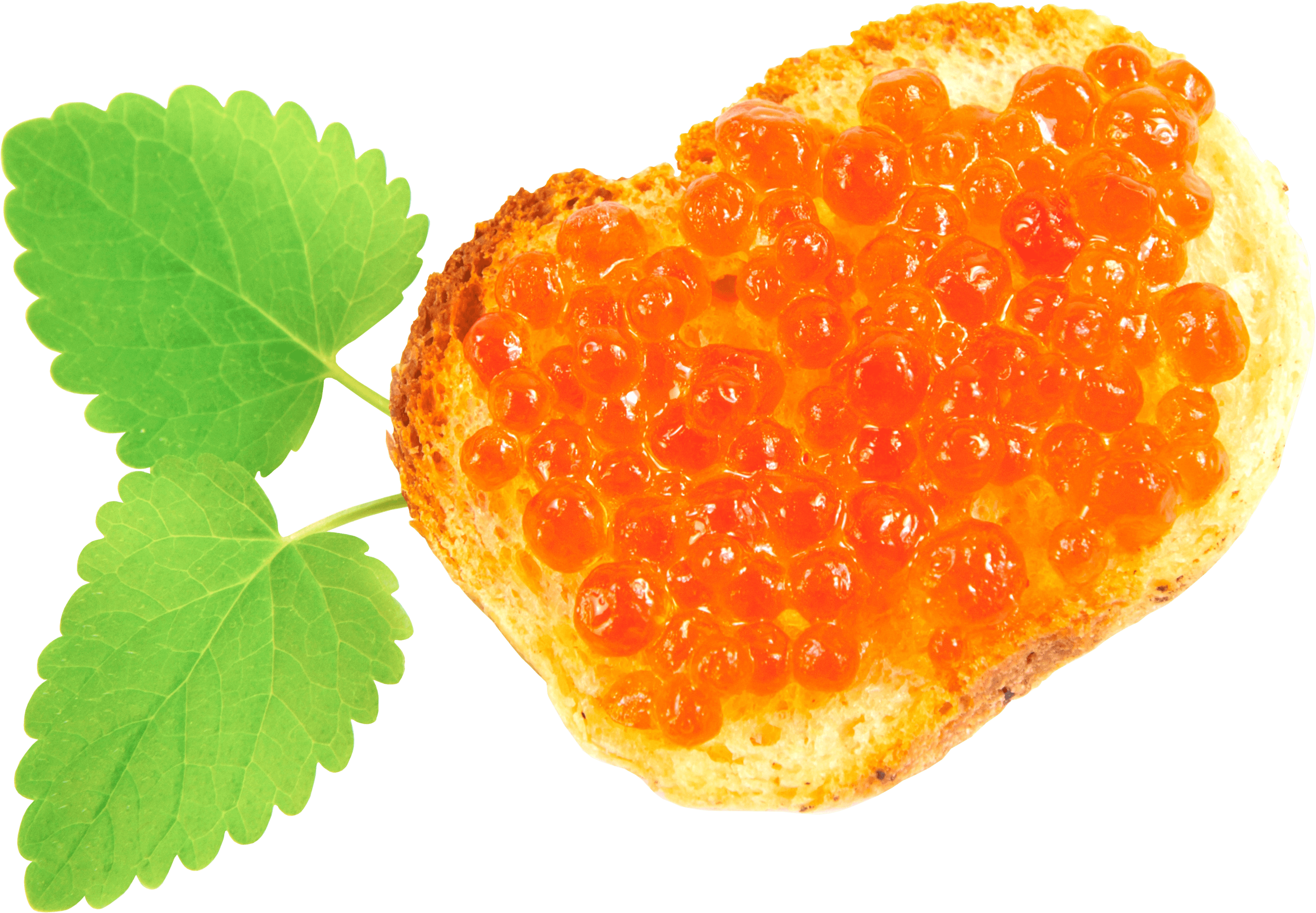 Sandwich Transparent PNG Image