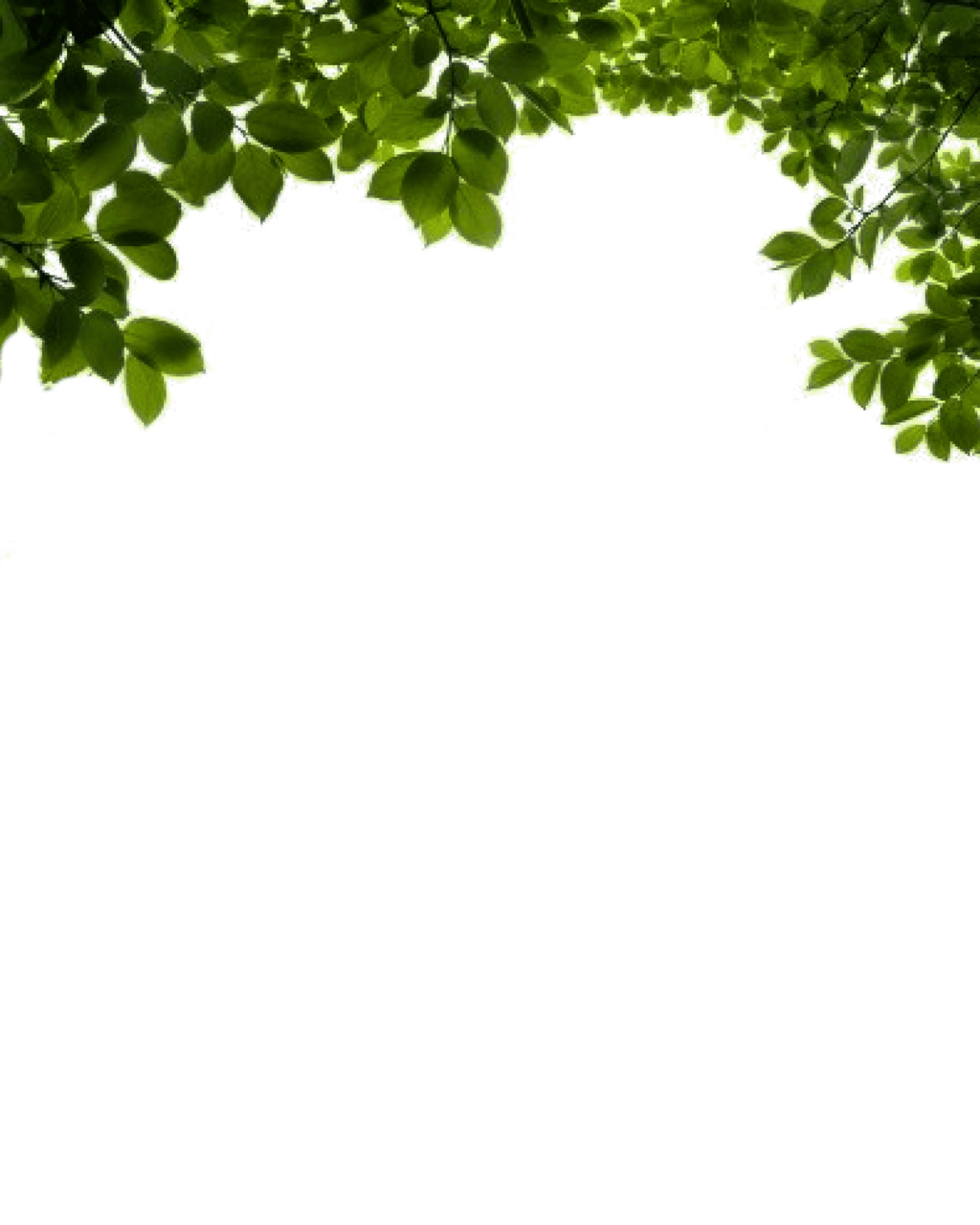 Bush Transparent PNG Image