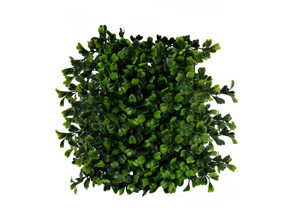Bush Transparent PNG Image
