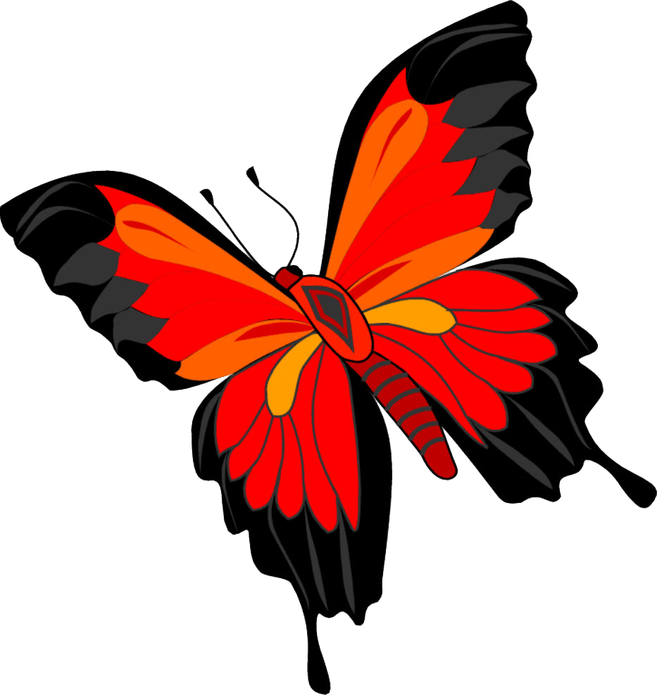 Butterfly Transparent PNG Image