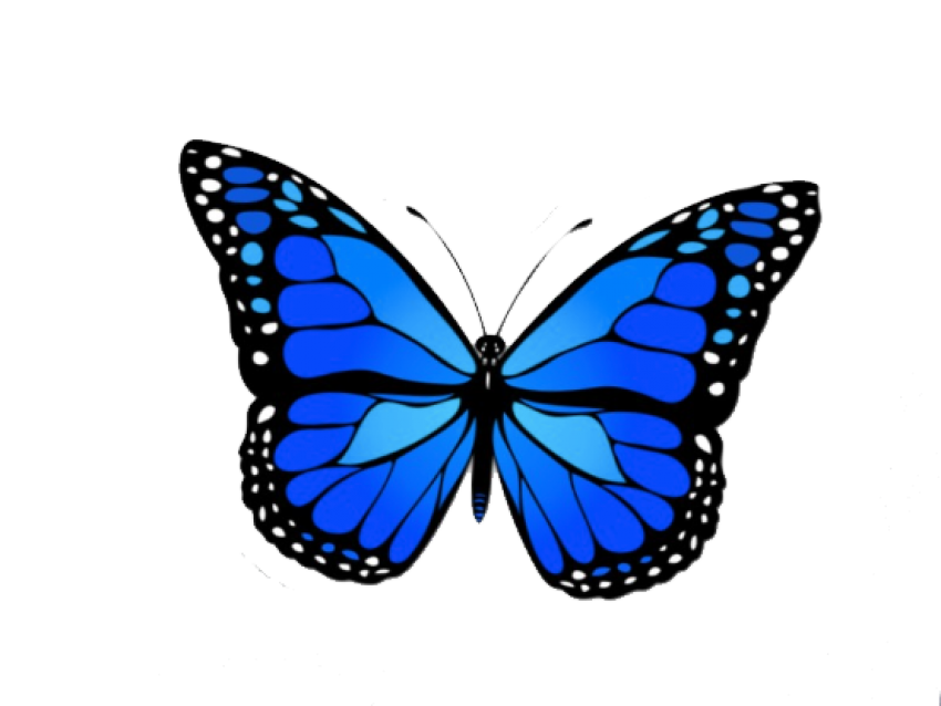 Blue Butterfly Transparent PNG Image