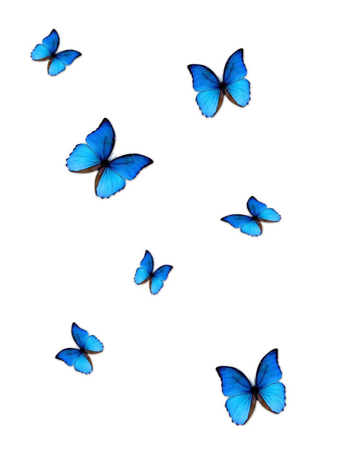 Blue Butterfly Transparent PNG Image