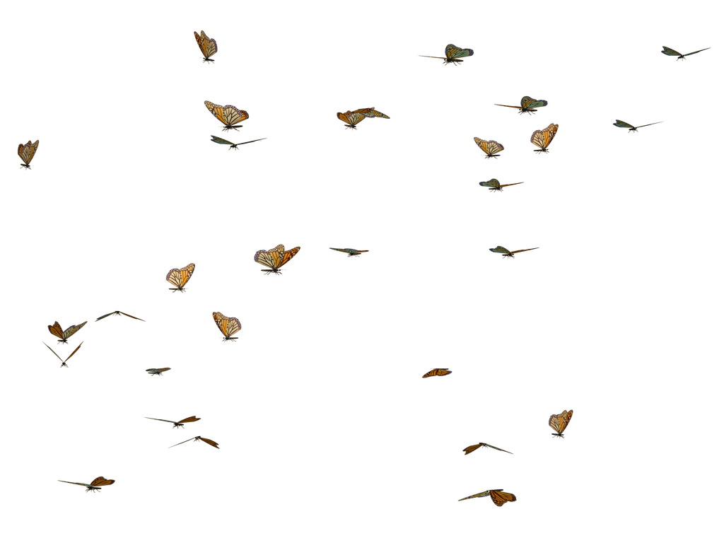 Butterfly Flying Transparent PNG Image