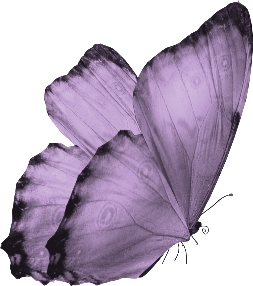 Butterfly Flying Transparent PNG Image