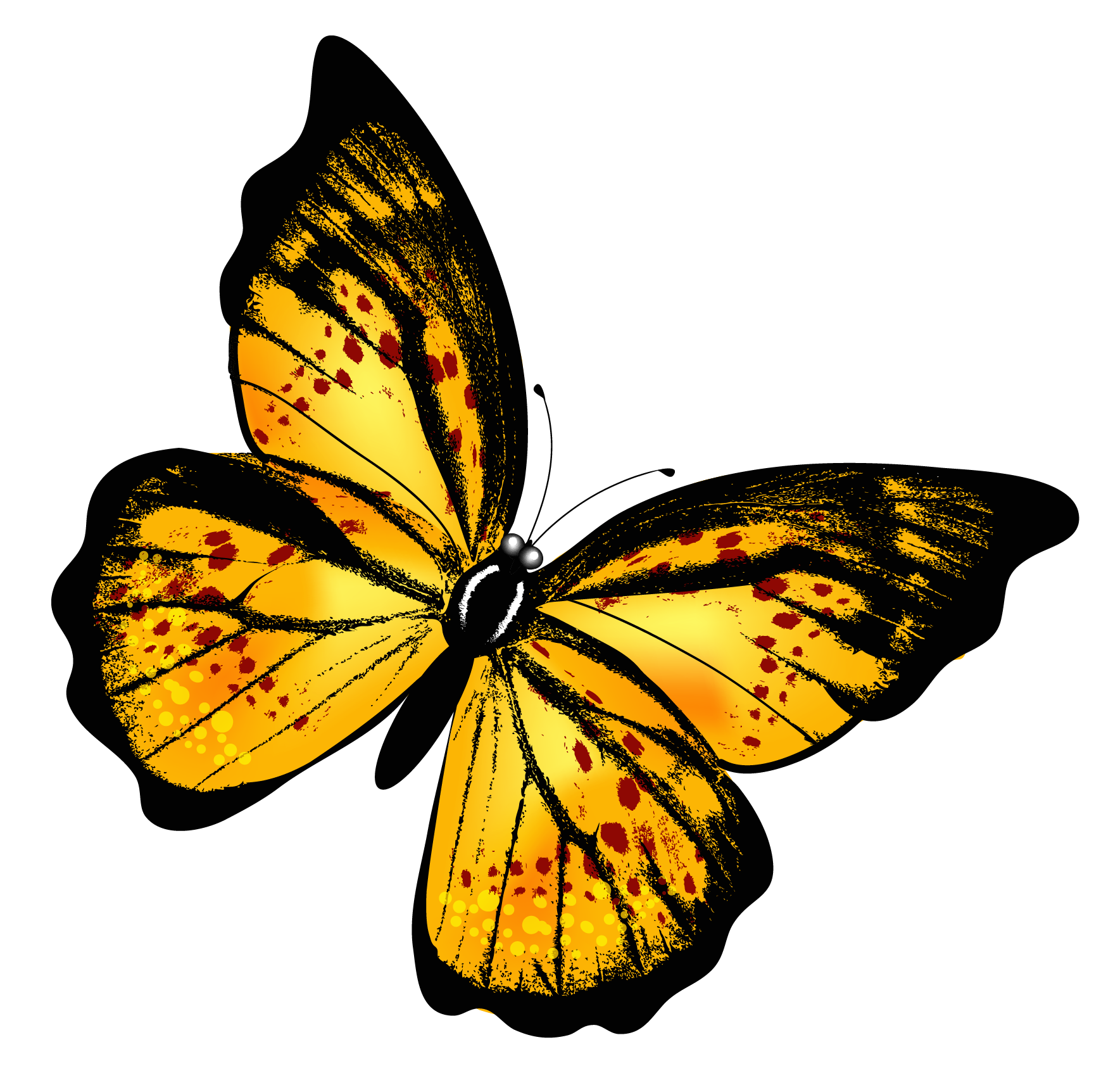 Butterfly Flying Transparent PNG Image
