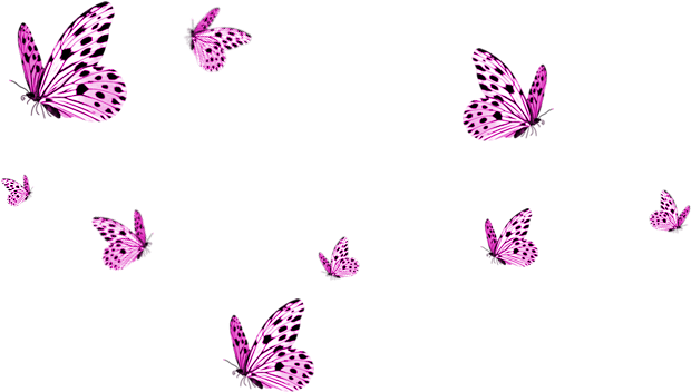 Pink Butterfly Transparent PNG Image
