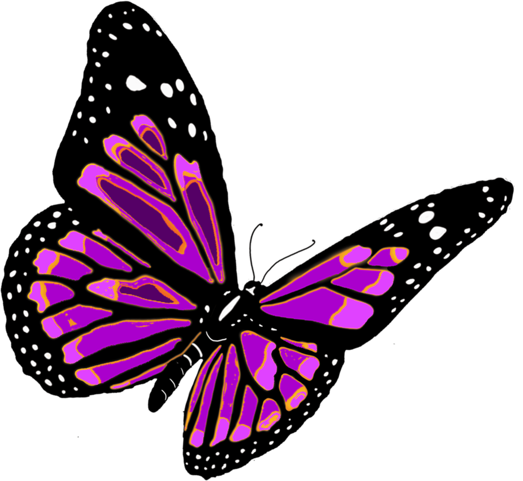 Pink Butterfly Transparent PNG Image