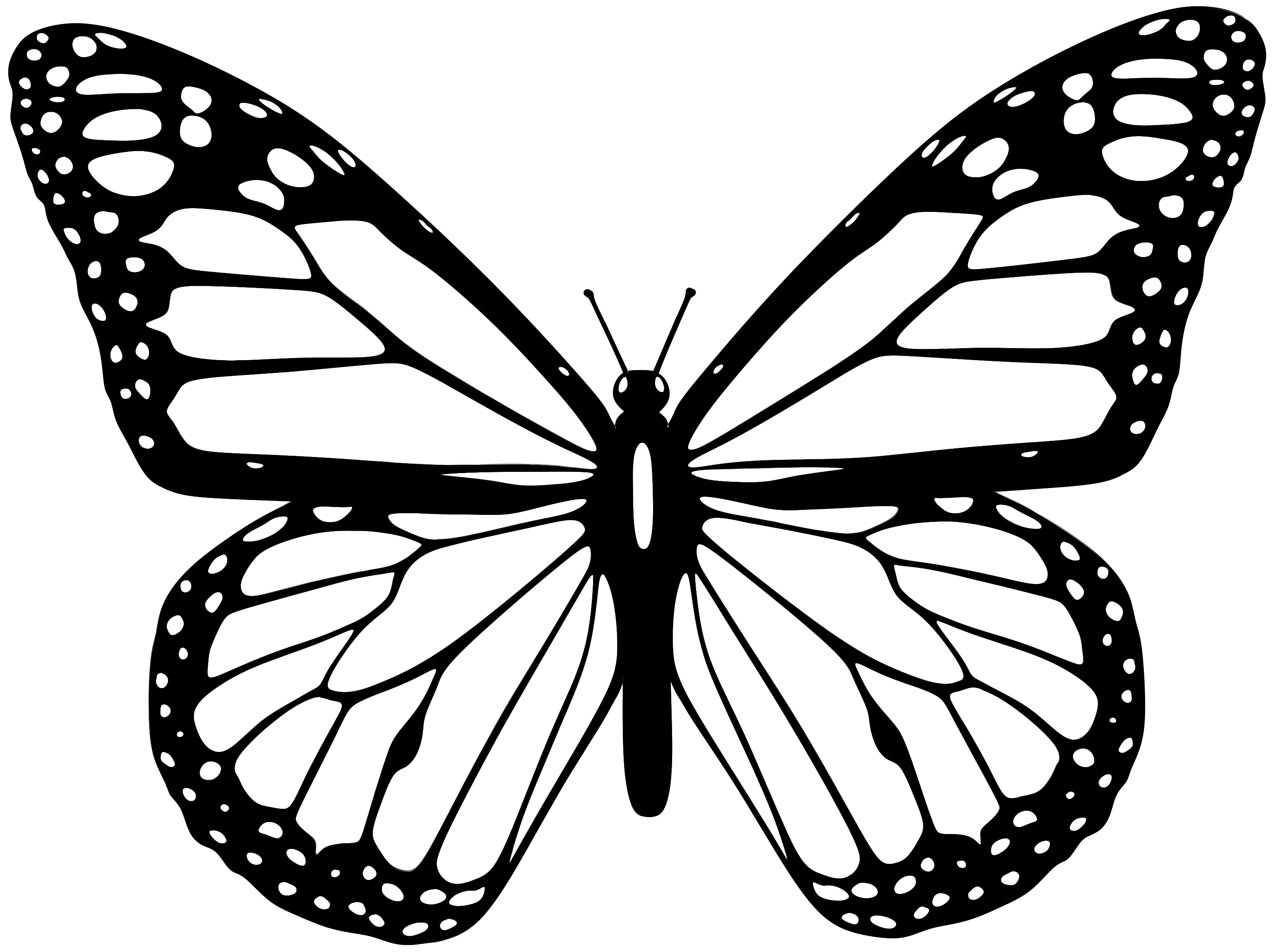 Butterfly Vector Transparent PNG Image