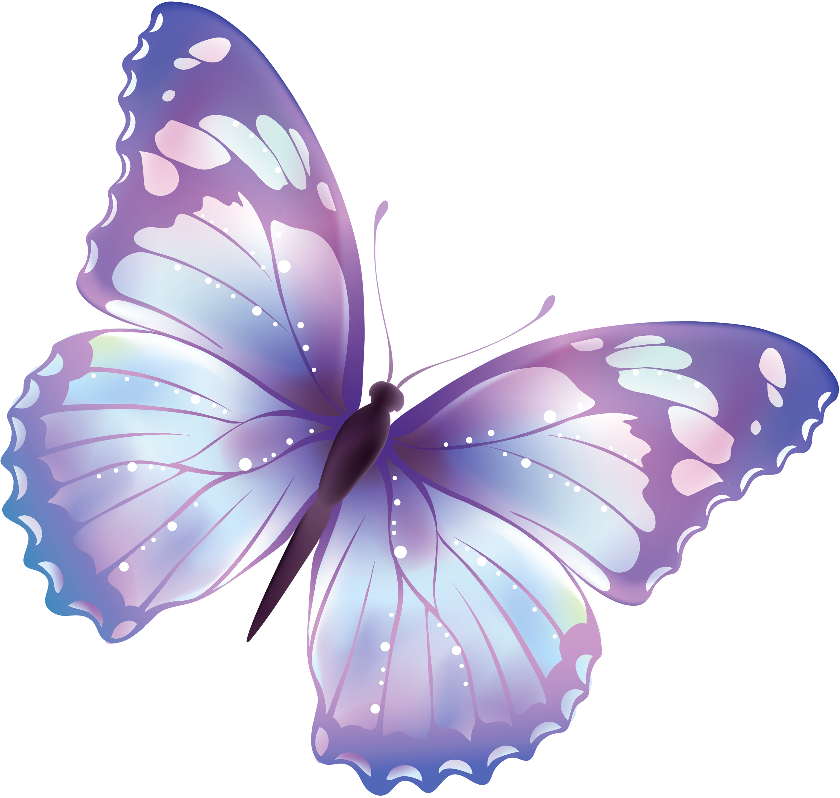 Butterfly 3 Transparent PNG Image