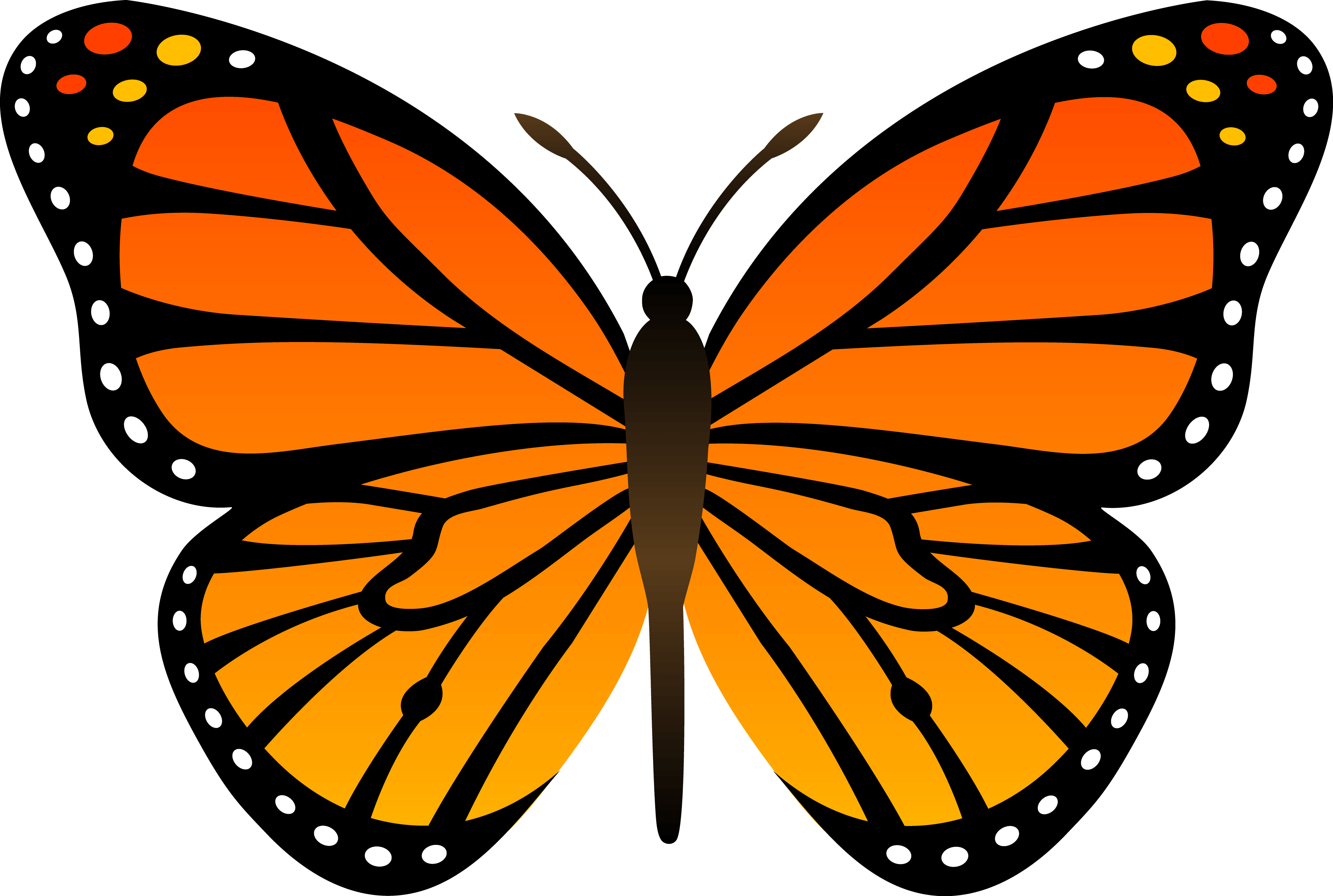 Orange Butterfly Butterflies Transparent PNG Image