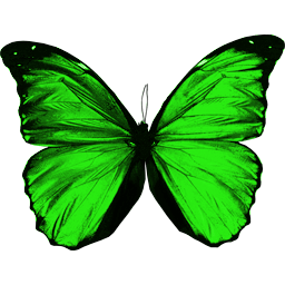 Green Flying Butterfly Transparent PNG Image