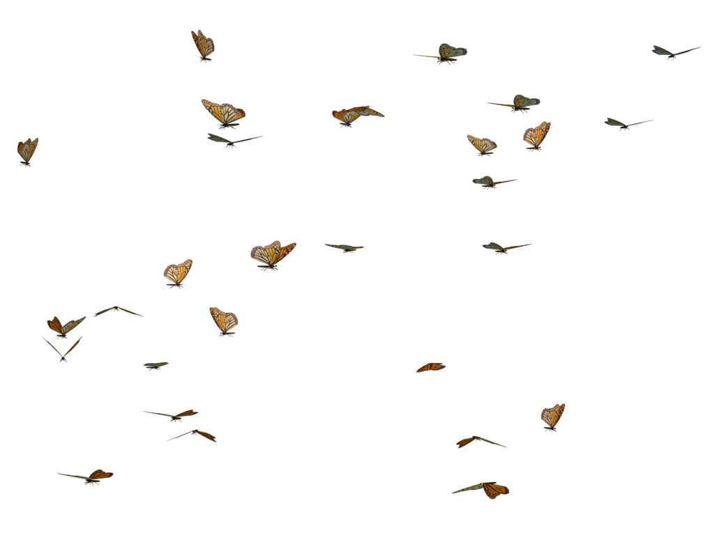 Butterflies Swarm Transparent PNG Image