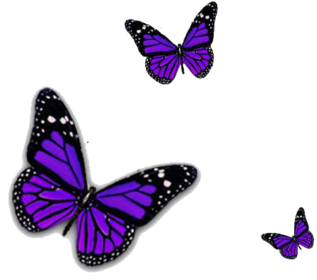 Purple Butterfly Transparent PNG Image