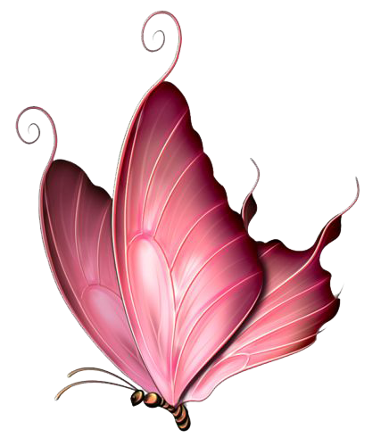 Pink Butterfly Transparent PNG Image