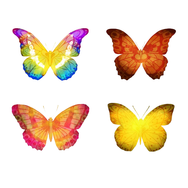Butterflies Vector Transparent PNG Image