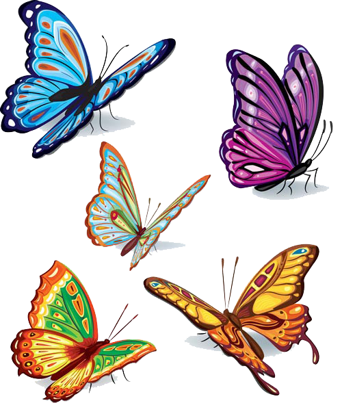 Butterflies Vector Transparent PNG Image