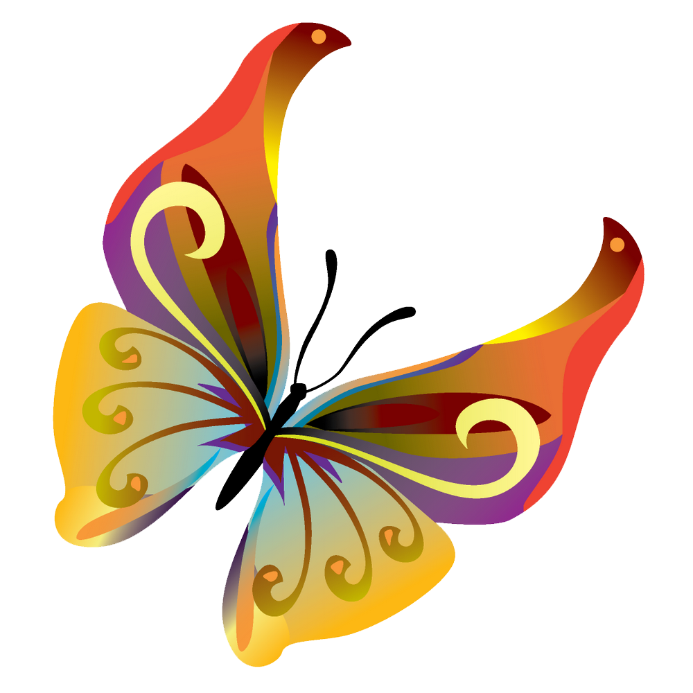 Butterflies Vector Transparent PNG Image