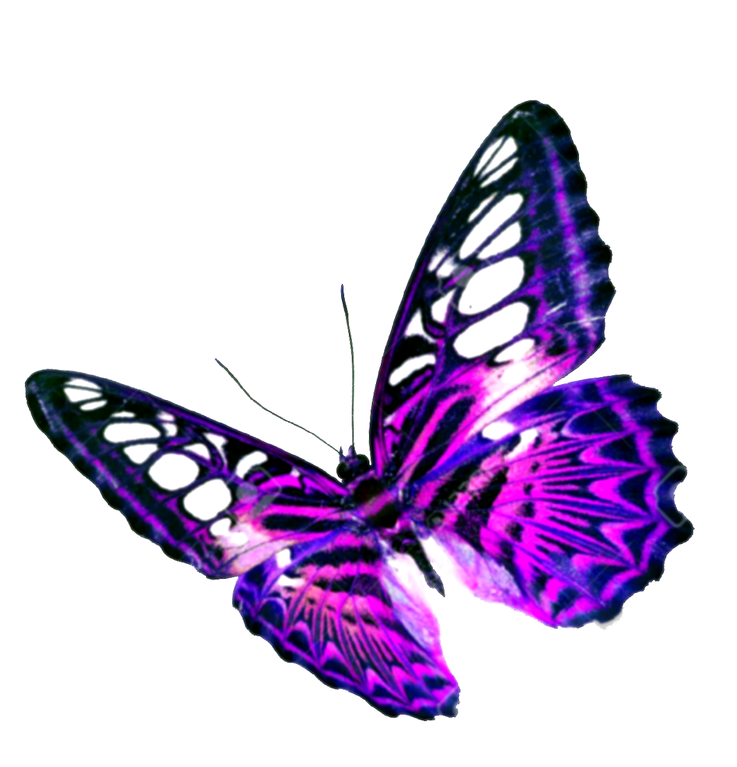 Purple Butterfly Background Transparent PNG Image
