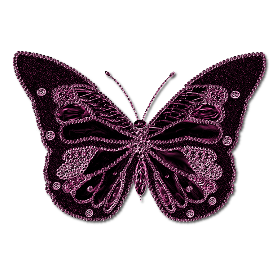 Butterfly Transparent PNG Image