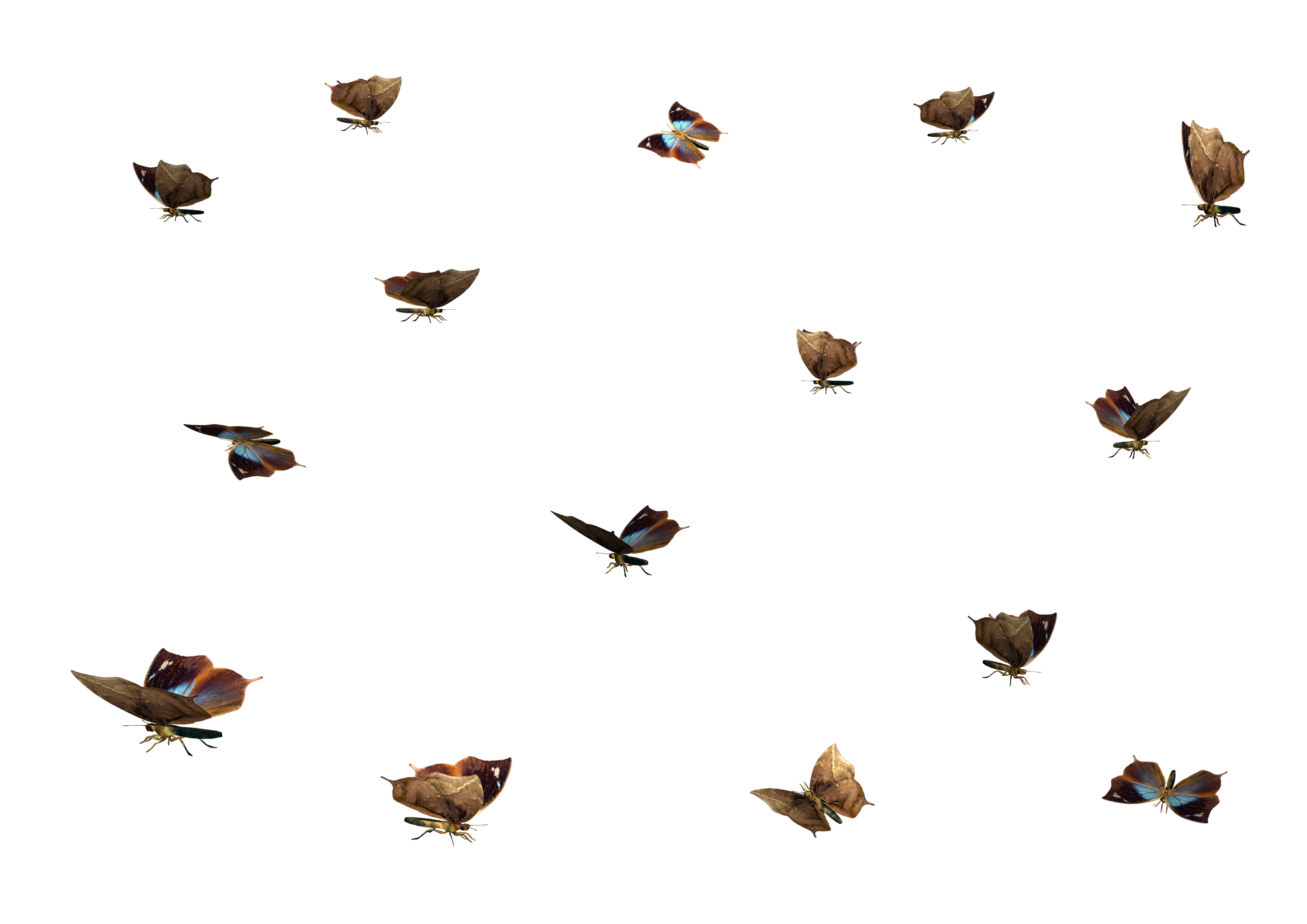 Butterflies Swarm Transparent PNG Image