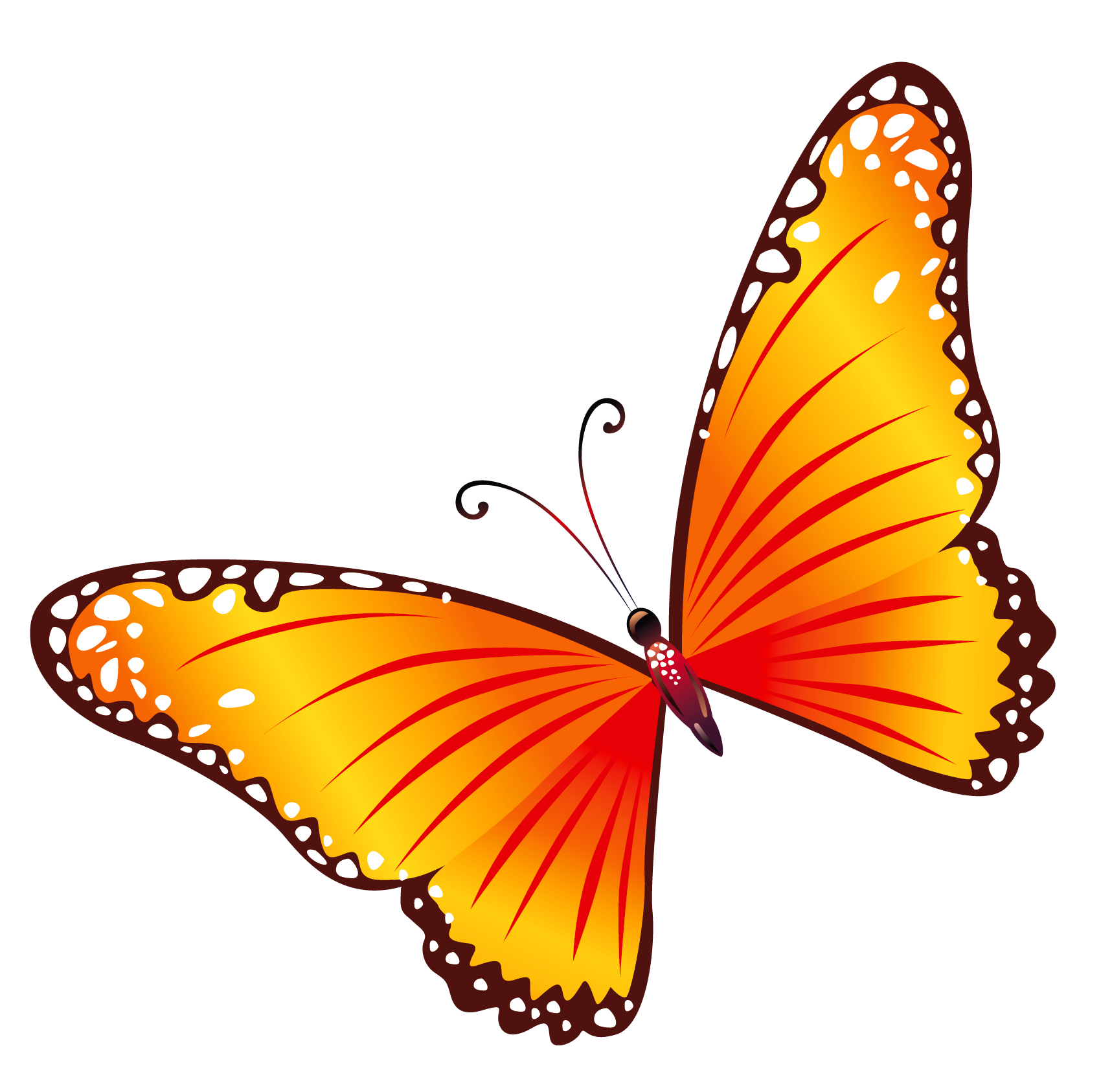 Butterfly 5 Transparent PNG Image