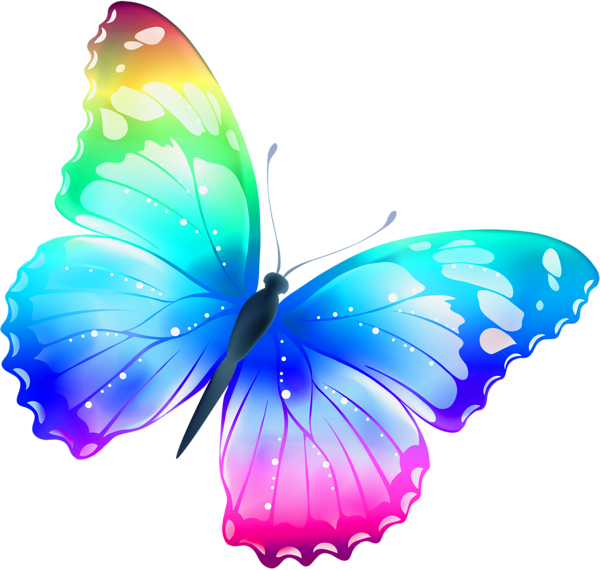 Colorful Butterfly Transparent PNG Image
