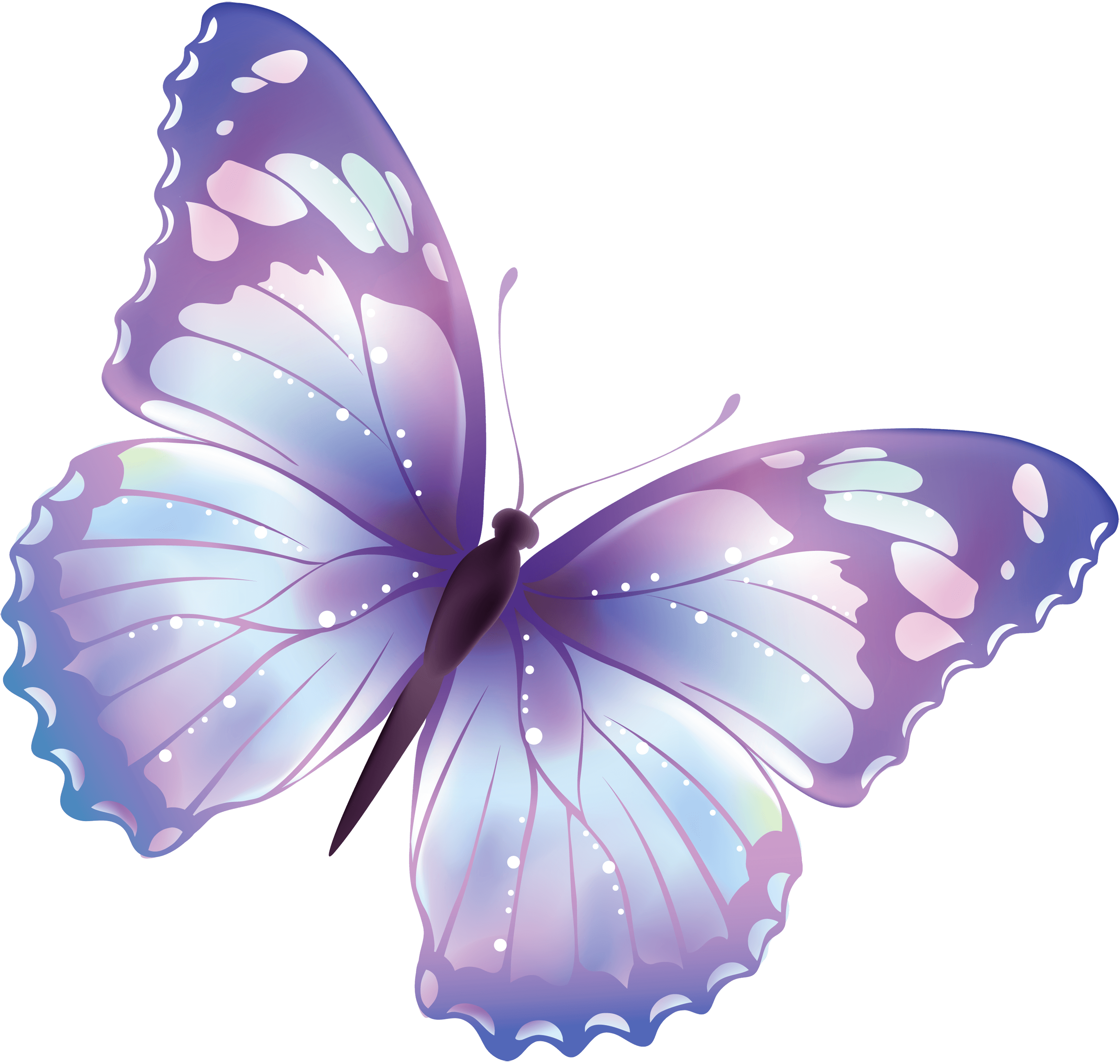 Flying Butterfly Transparent PNG Image