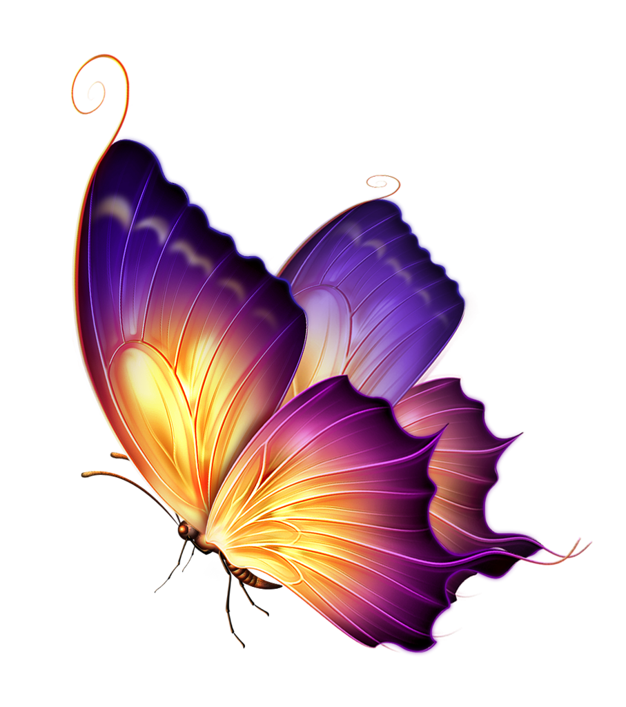 Butterfly Color Purple Transparent PNG Image