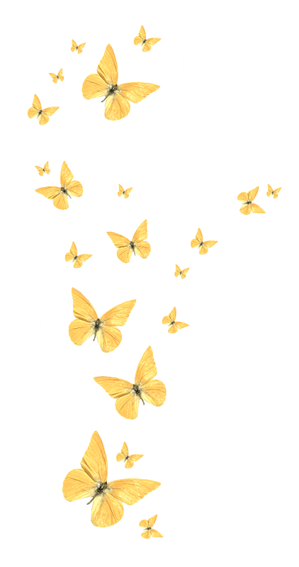 Butterfly Golden Transparent PNG Image