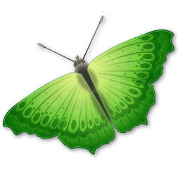 Butterfly Transparent PNG Image