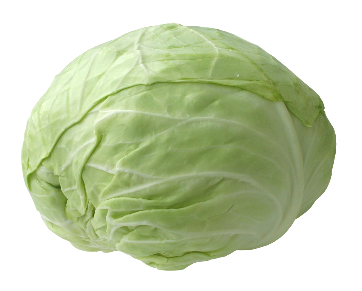 Cabbage Transparent PNG Image