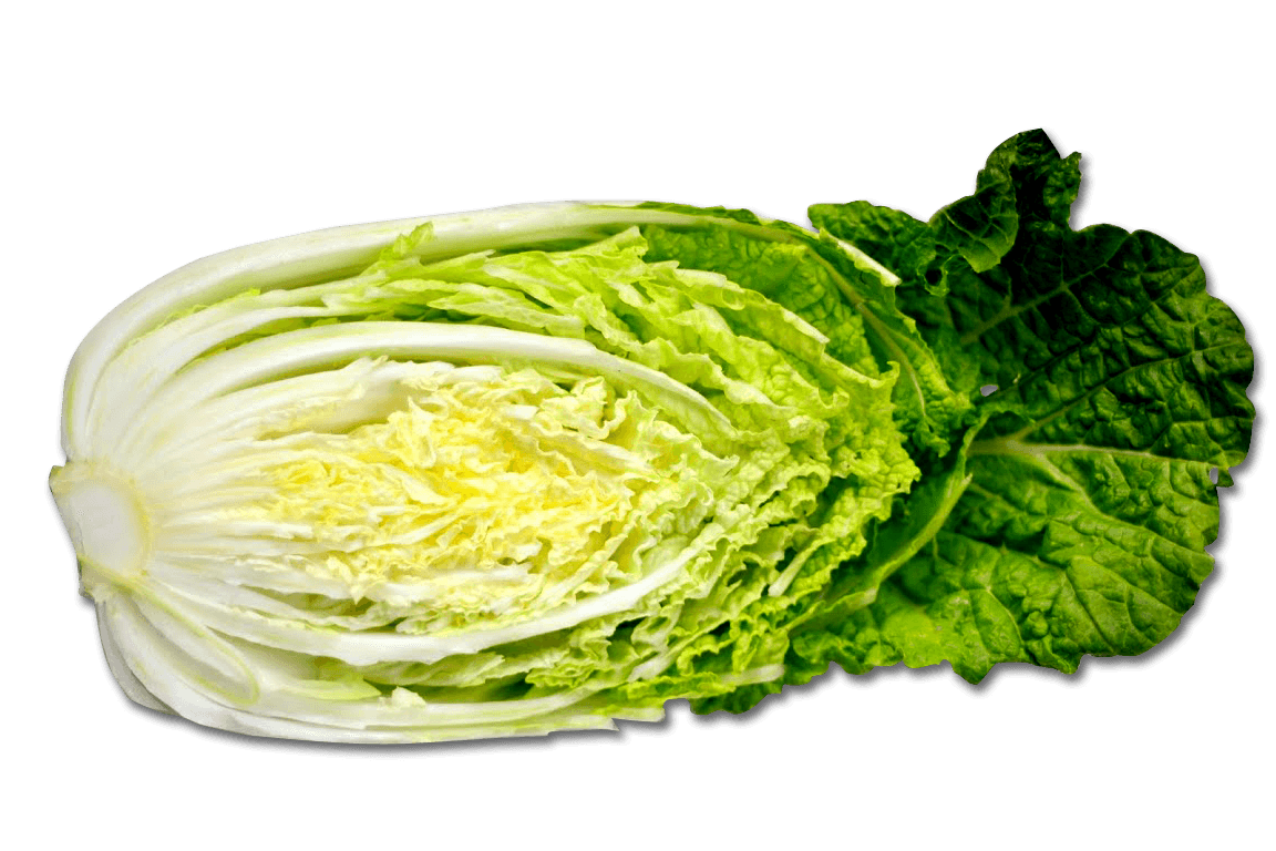 Cabbage Transparent PNG Image