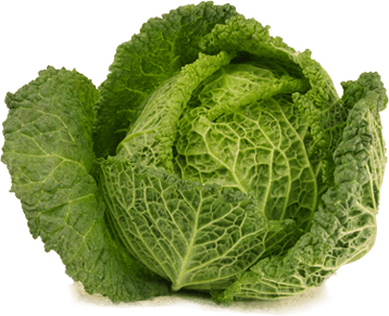 Cabbage Transparent PNG Image