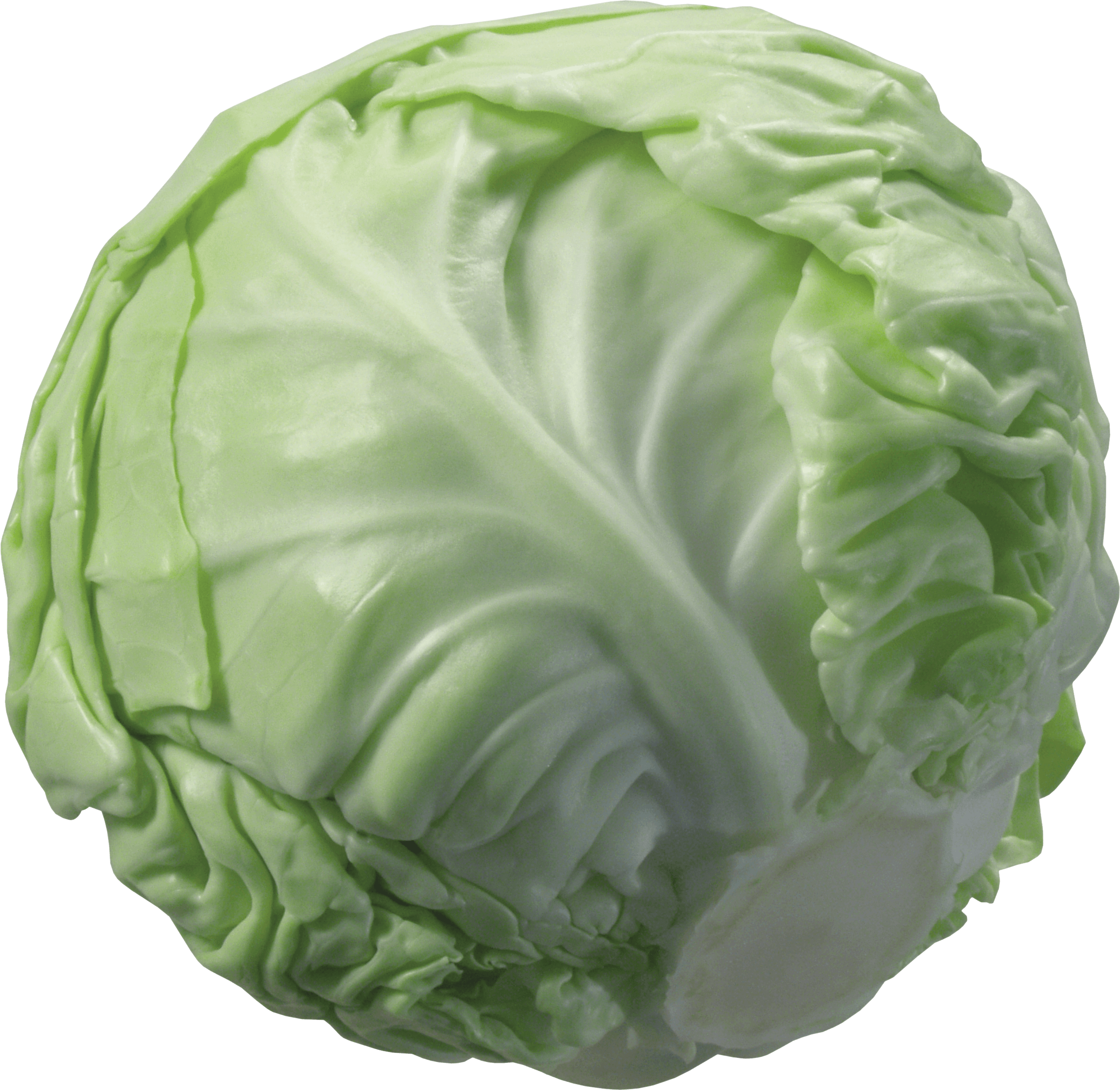 Cabbage Transparent PNG Image