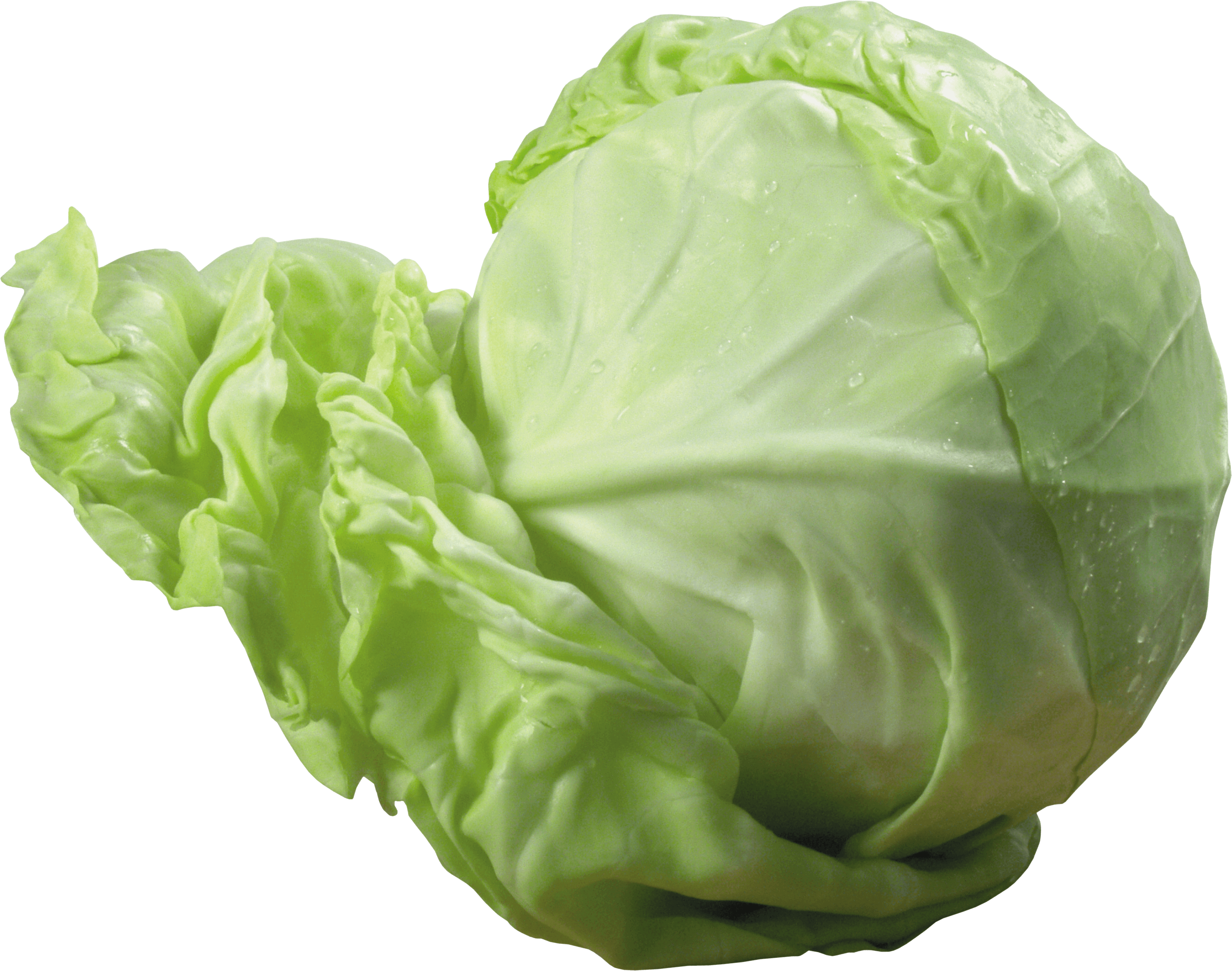 Cabbage Transparent PNG Image