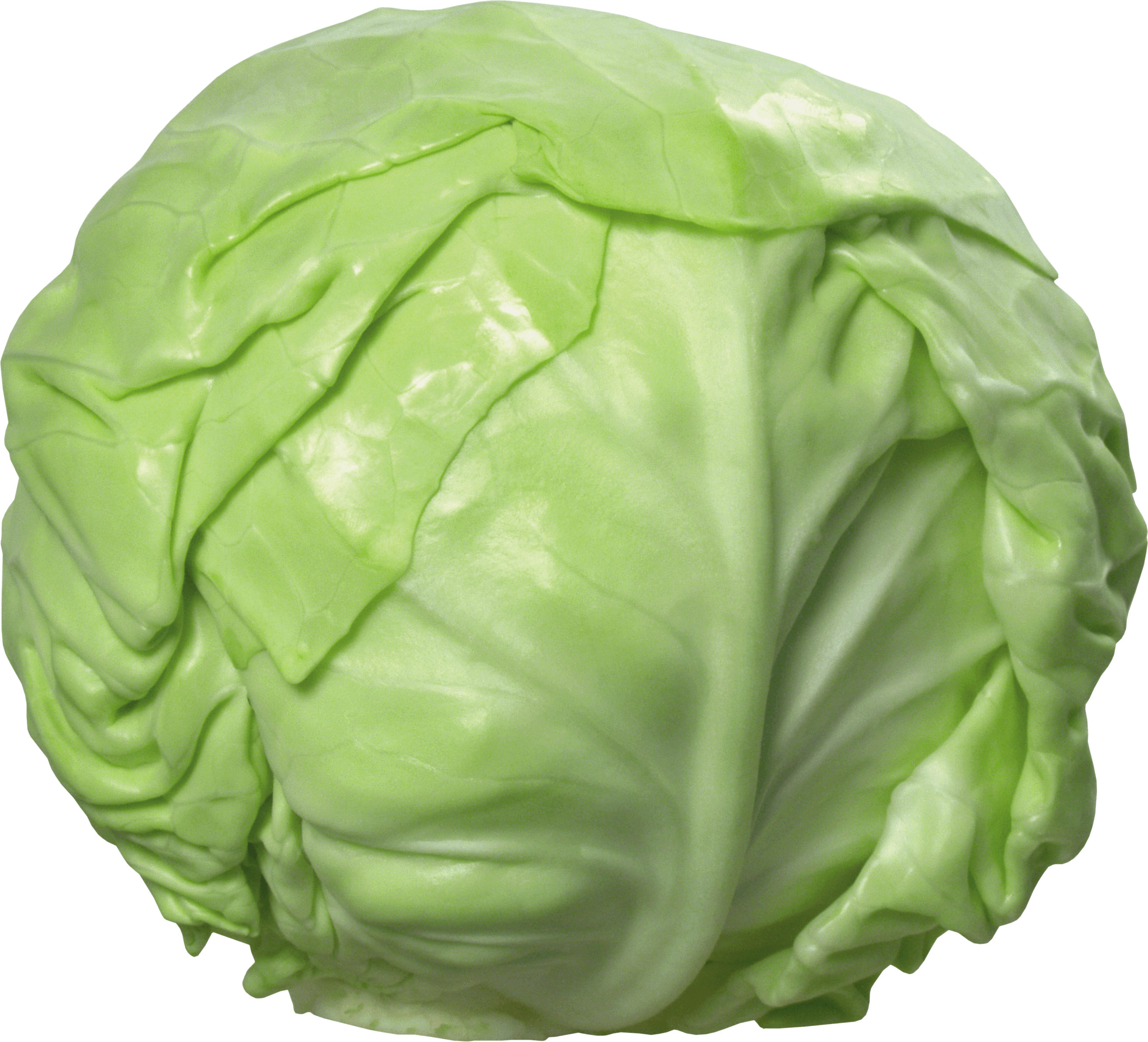 Cabbage Transparent PNG Image