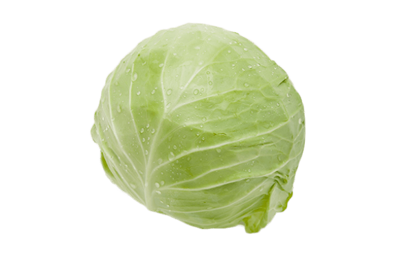 Cabbage Transparent PNG Image
