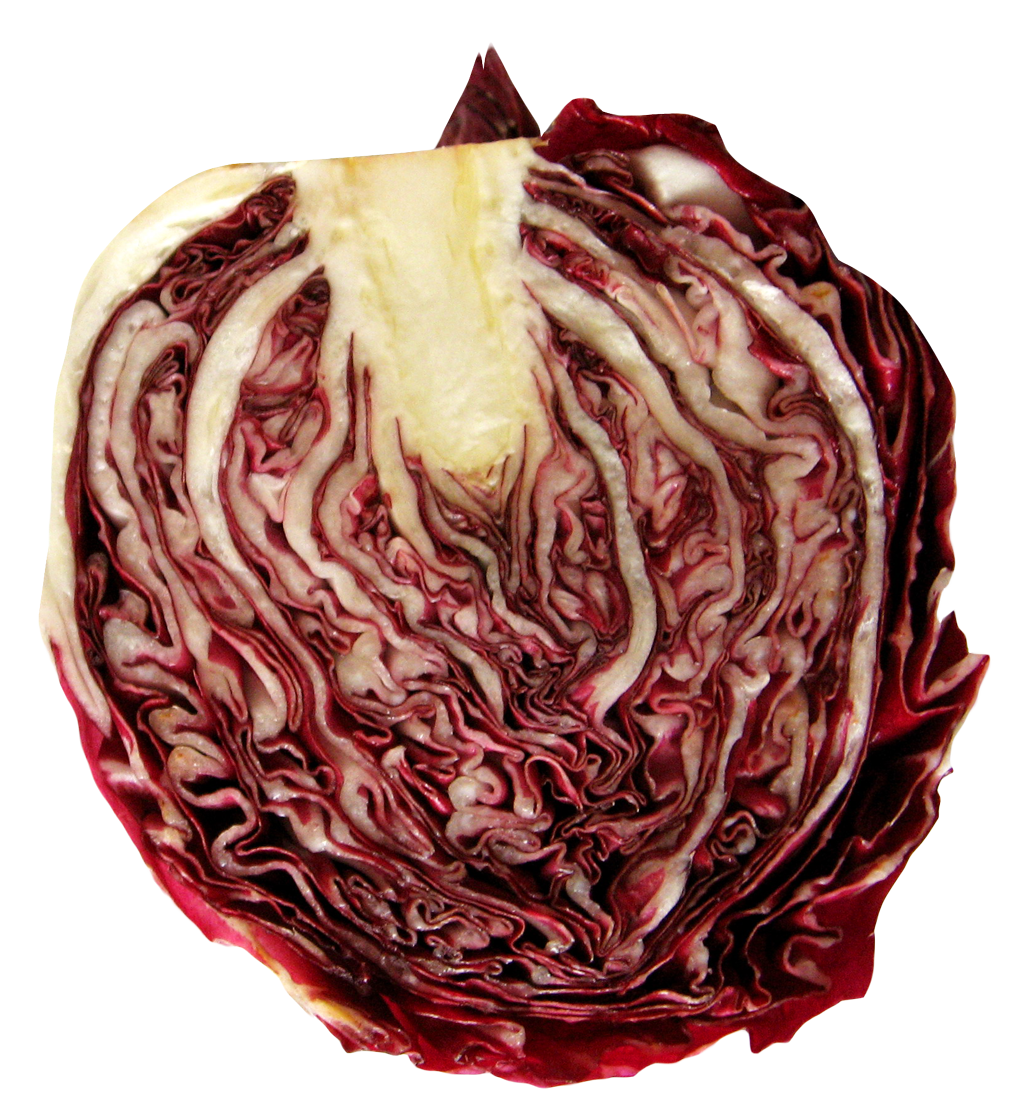Cabbage Half Transparent PNG Image