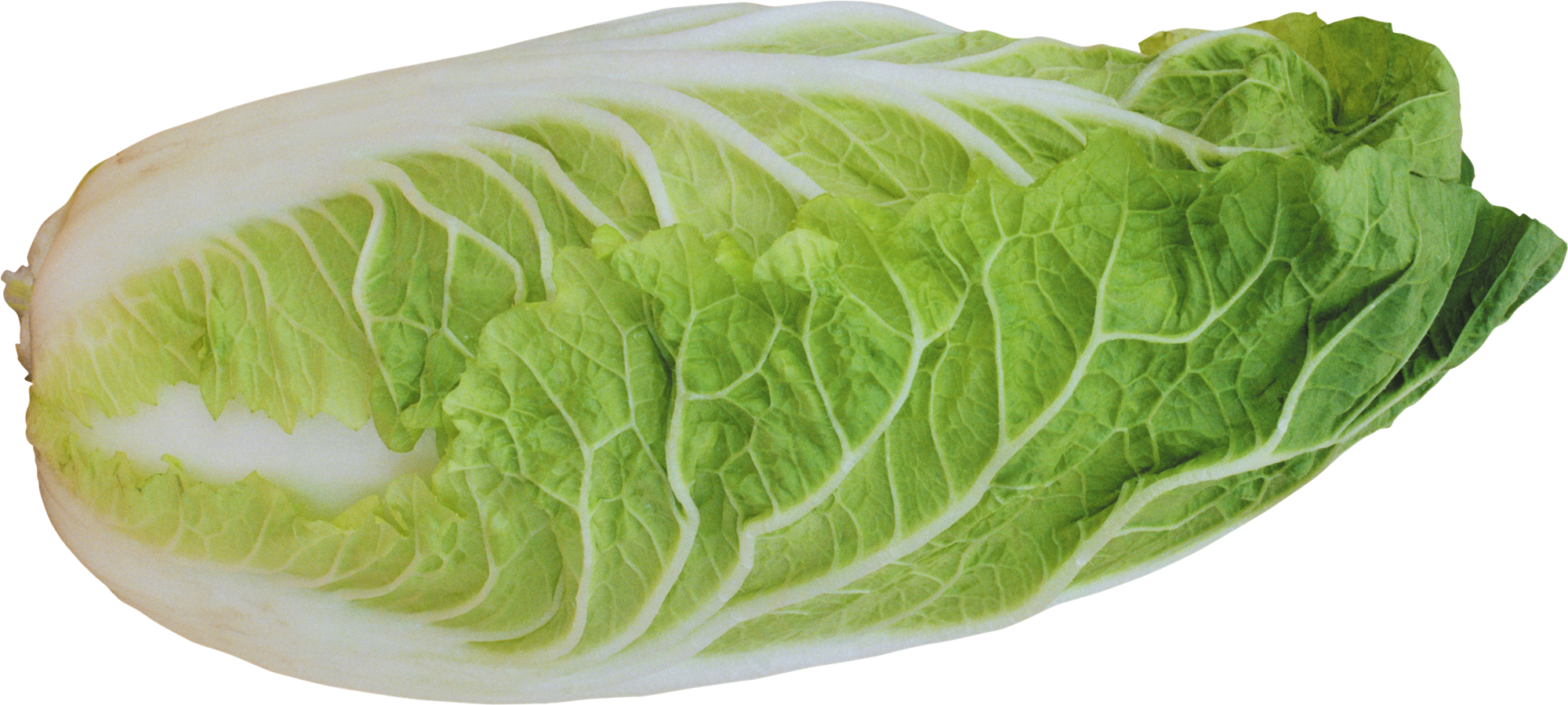 Cabbage Half Transparent PNG Image