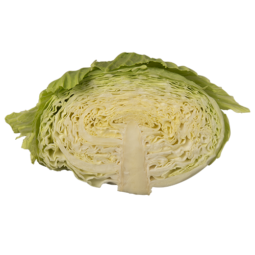 Fresh Cabbage Half Transparent PNG Image