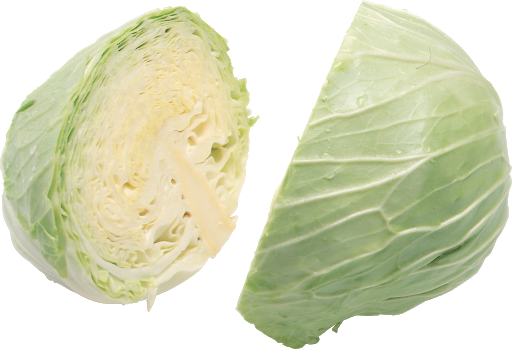 Cabbage Half Transparent PNG Image