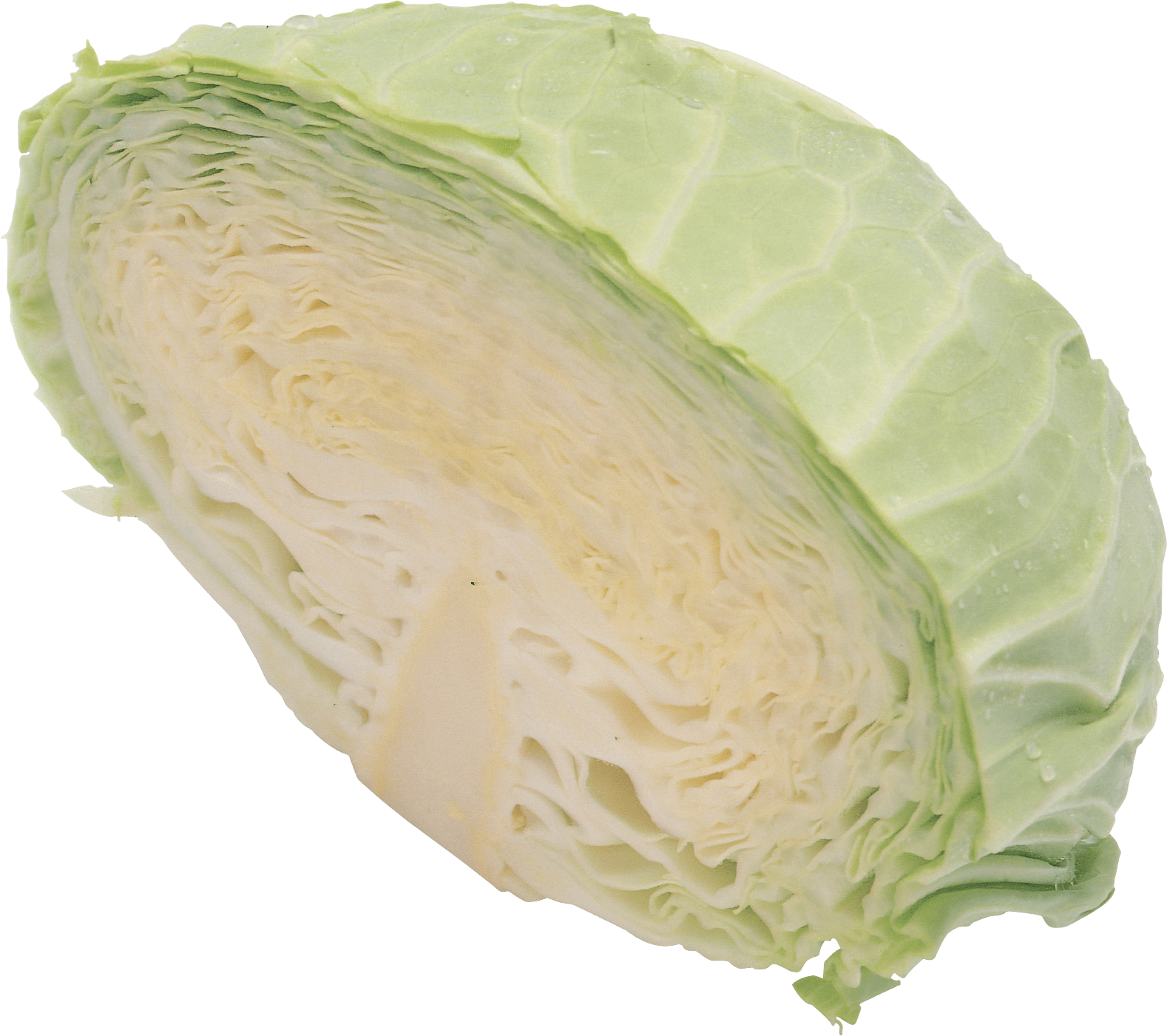Cabbage Transparent PNG Image